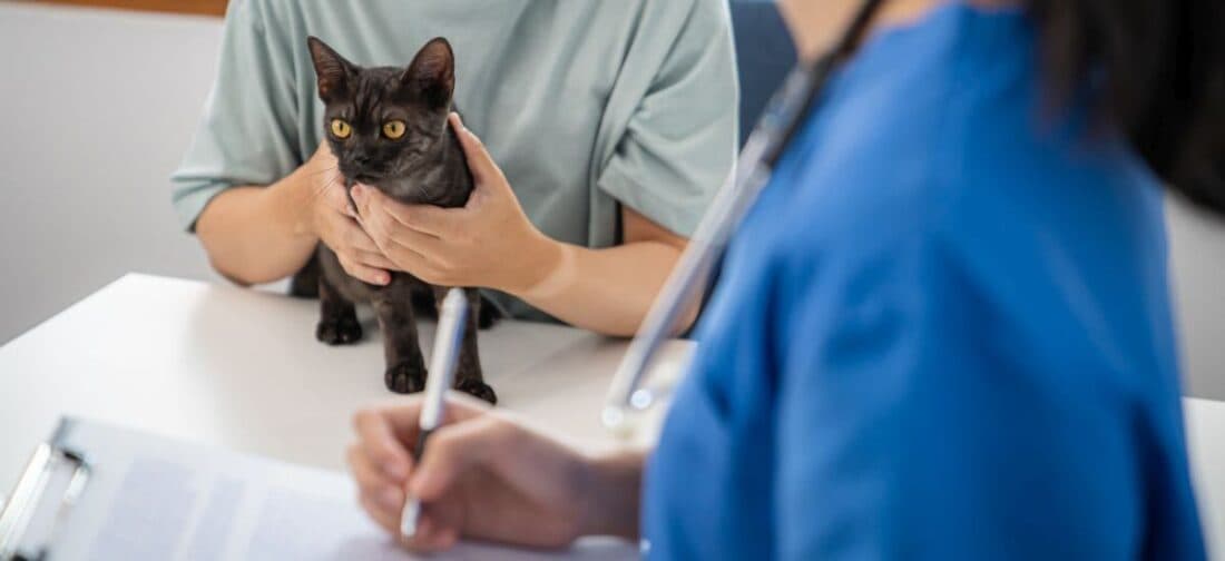 О нас - изображение 3