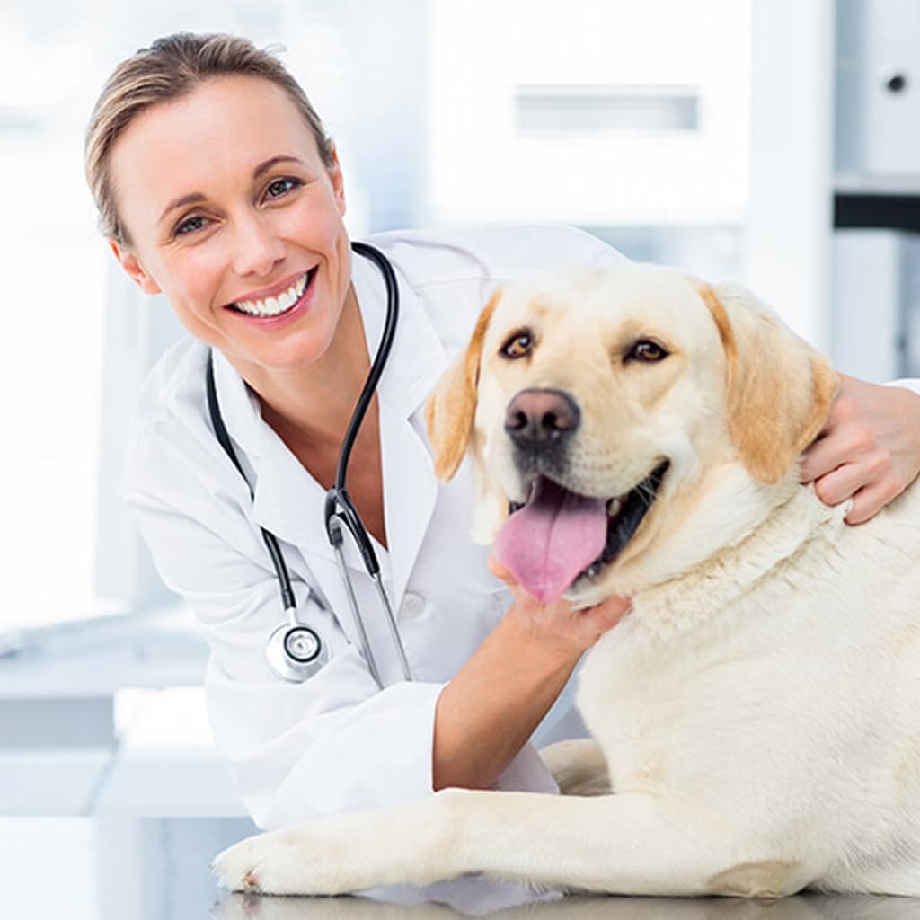 Скидка 10% на первичный прием гастроэнтеролога.