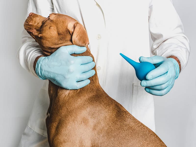 Проведение очистительной клизмы ("Микролакс")