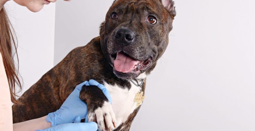 Тест с влажной бумагой