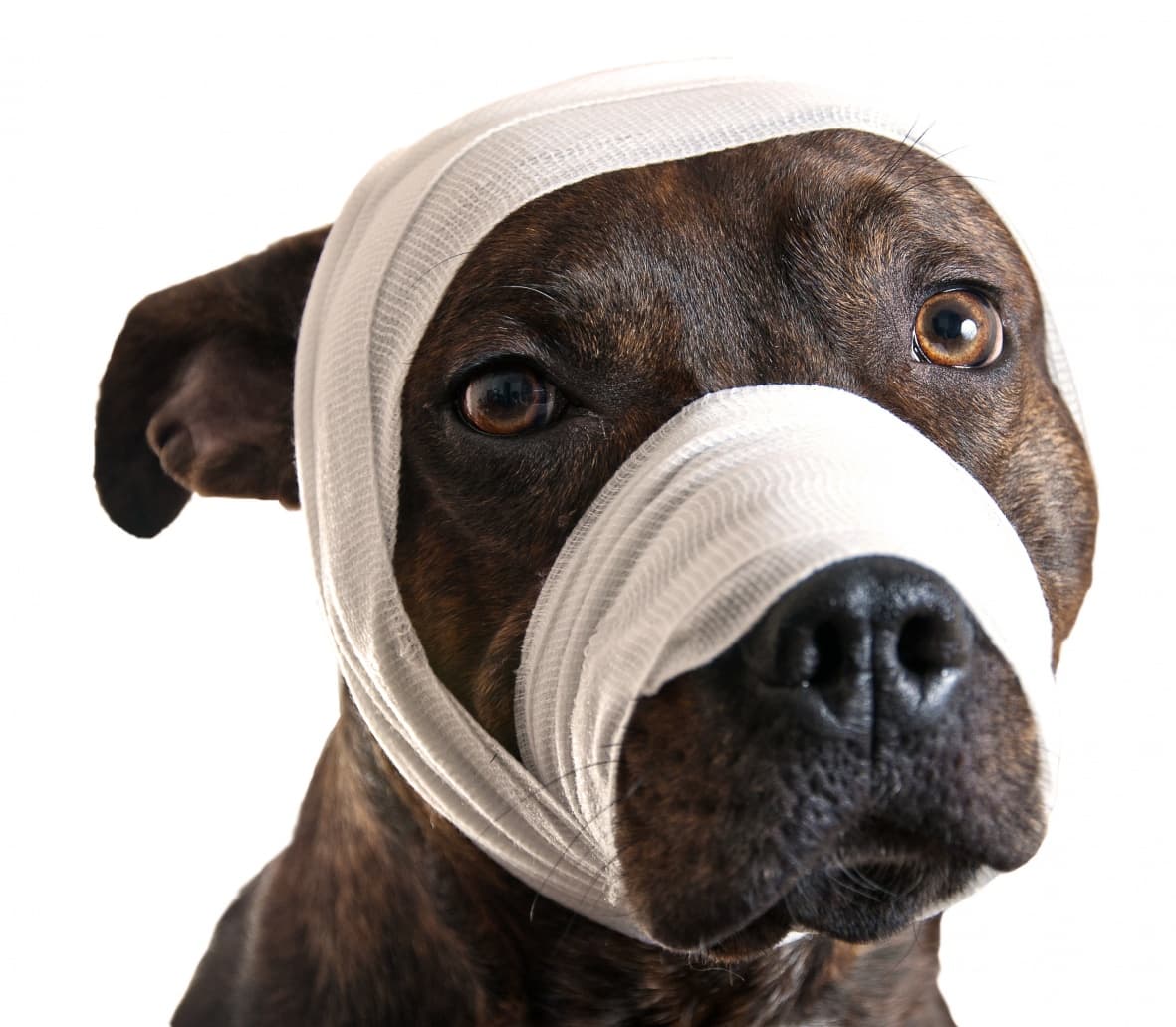 Вправление вывиха нижней челюсти/остеосинтез