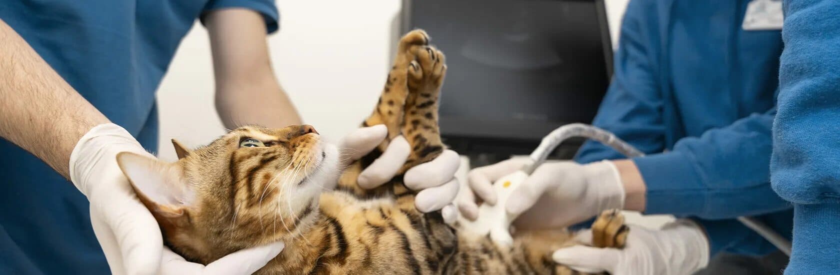 Диагностическая пункция брюшной полости (под контролем УЗИ)﻿