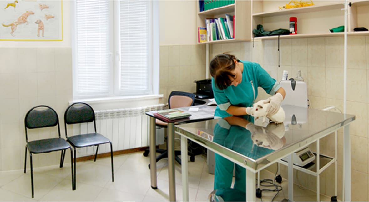 О нас - изображение 1