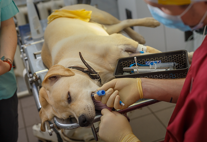 Реанимационные мероприятия (1 час/сутки)