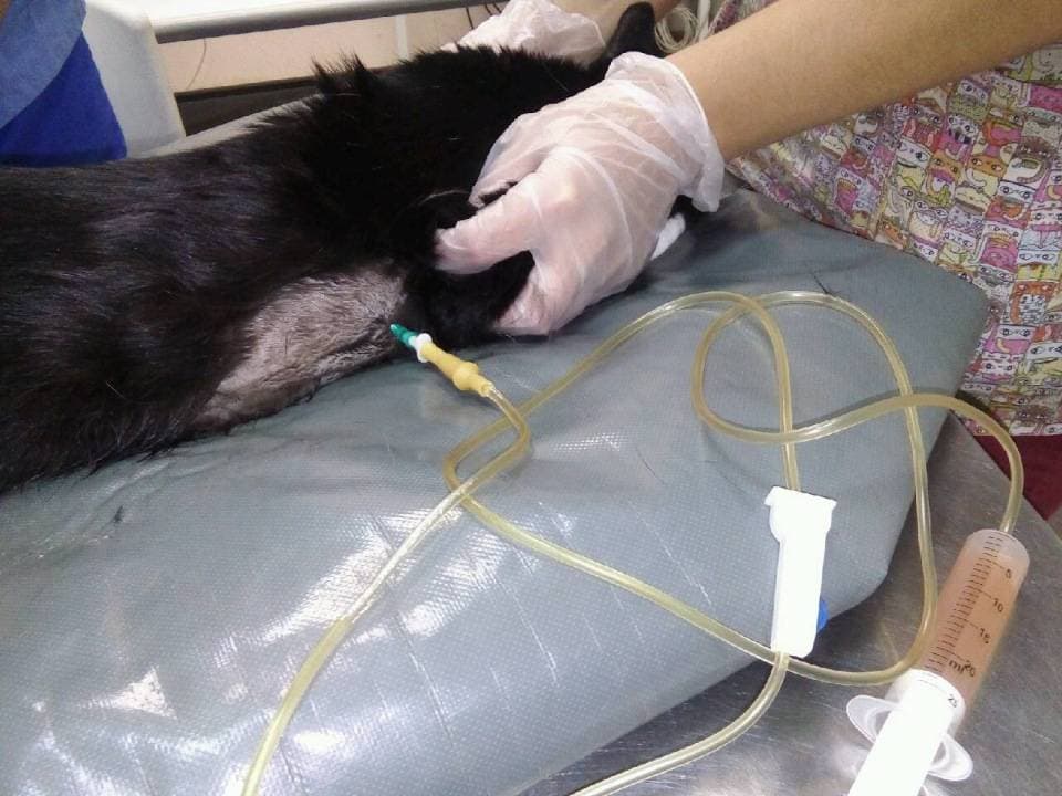 Постановка дренажа