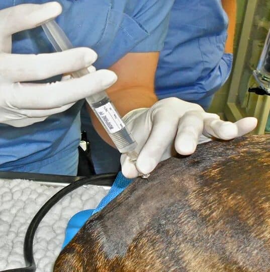 Эпидуральная анестезия