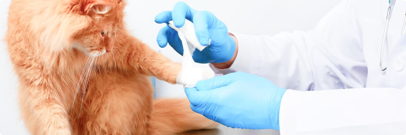 Надкостный остеосинтез (без стоимости пластины)