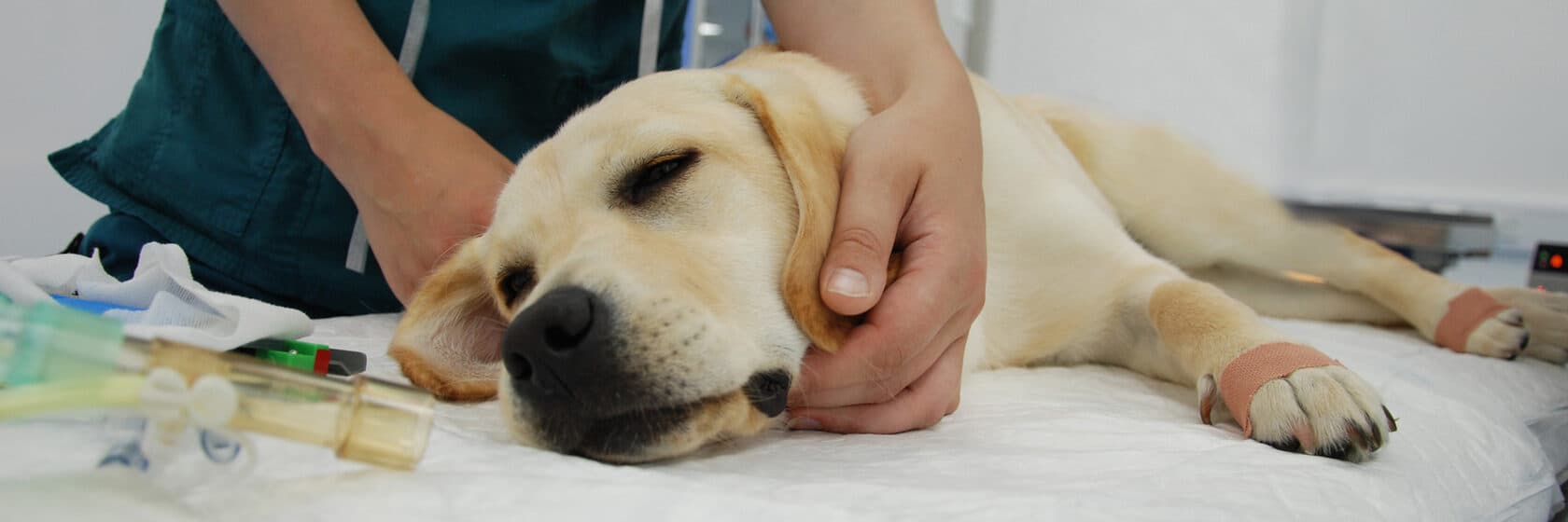 Удаление опухоли кожи