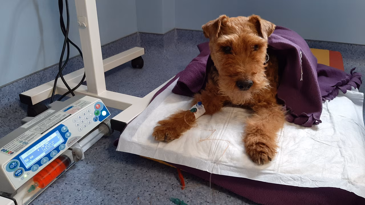 Онкология - изображение 1