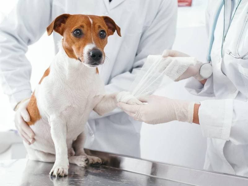 Вправление вывиха сустава, репозиция отломков открытым способом