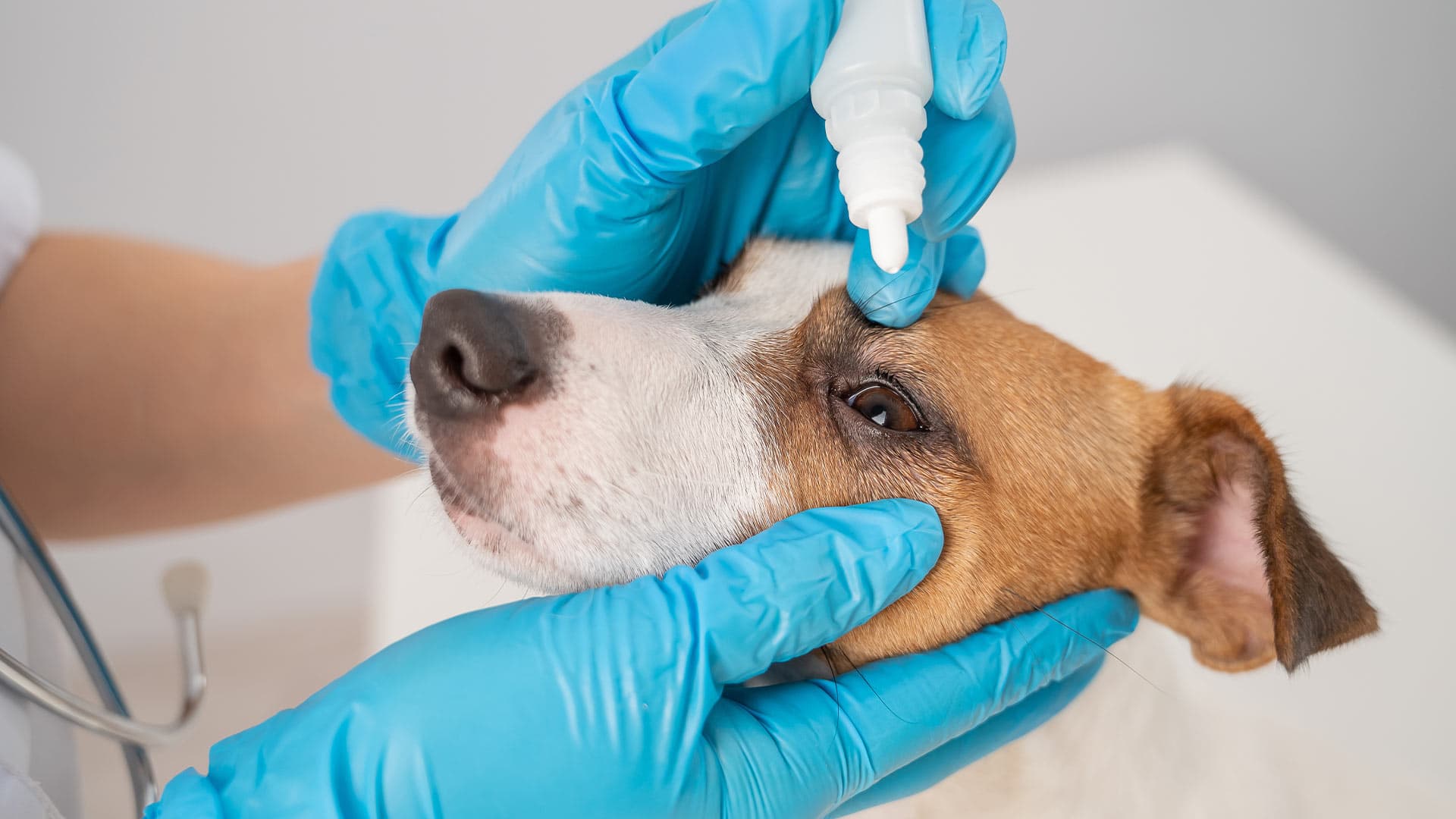 Наружная обработка глаза