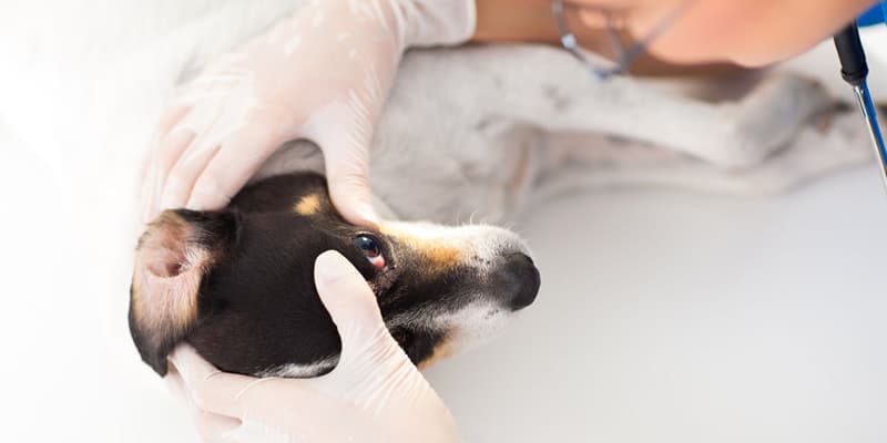 Бужирование