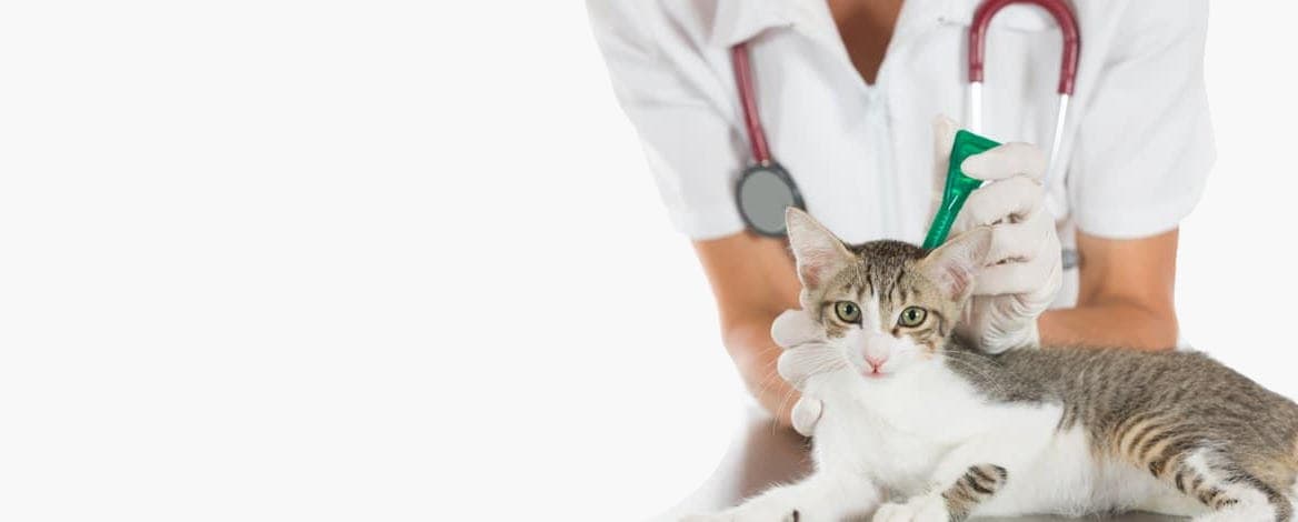 Взятие материала для бак.посева