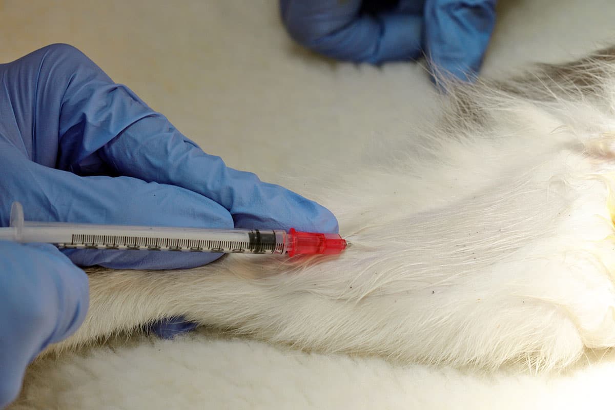 Внутривенная струйная инъекция